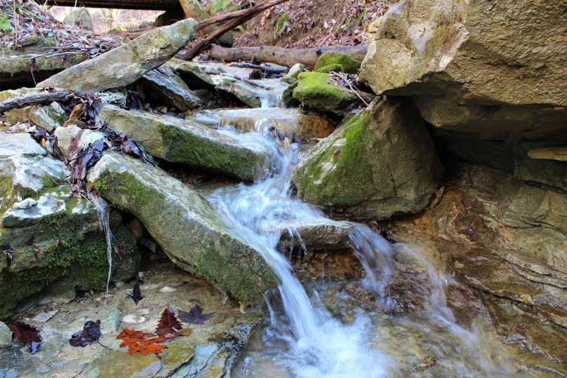 038 that liquid life flowing west through the middle of the property