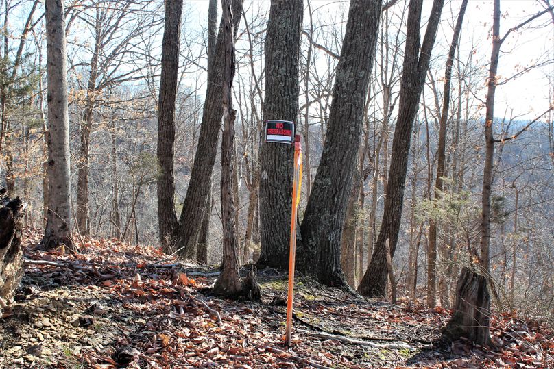 033 well marked surveyed corner at a northwest corner of the property
