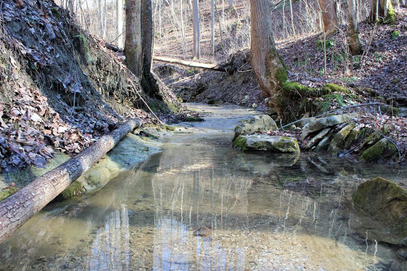 026 a gently flowing mountain pool with a stone bottom