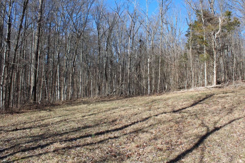 016 one of the open small field areas near the old homestead