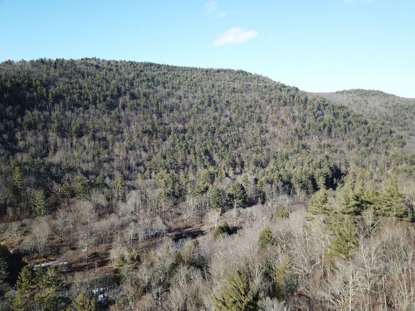 DJI_0070