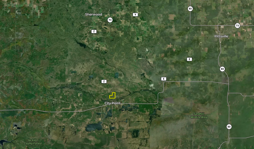 Screenshot 2023-01-20 at 10.05.55 AM