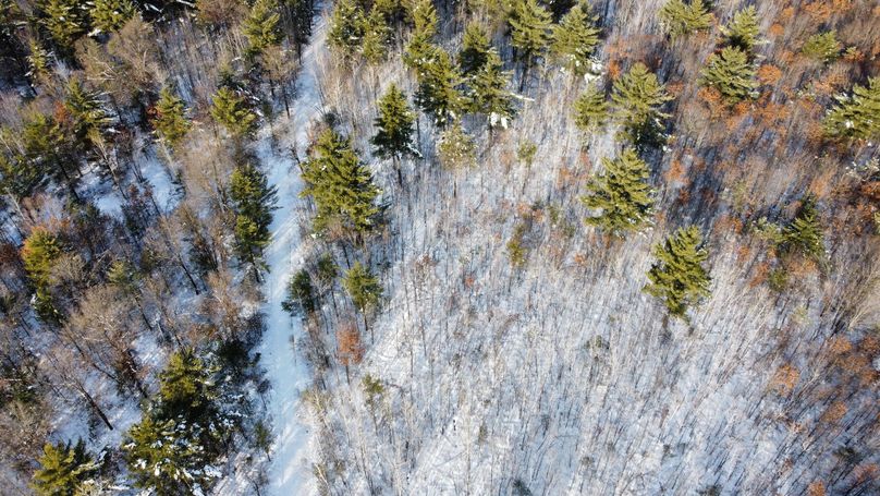 dji_fly_20230124_145316_192_1674594178713_photo_optimized