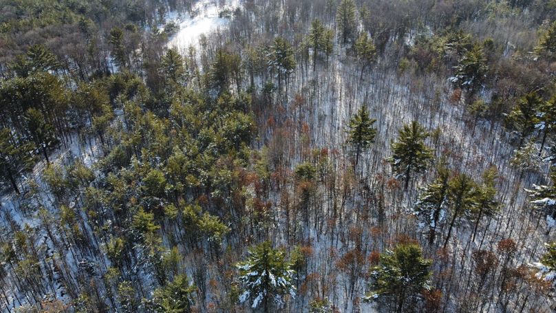 dji_fly_20230124_145448_195_1674594176068_photo_optimized