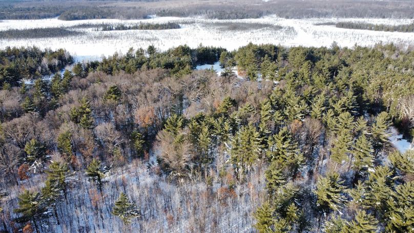 dji_fly_20230124_145404_193_1674594177860_photo_optimized