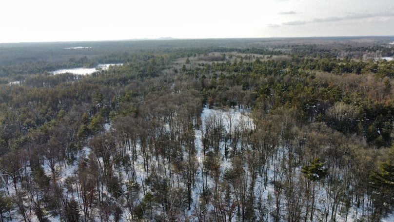 dji_fly_20230124_145210_187_1674594196946_photo_optimized