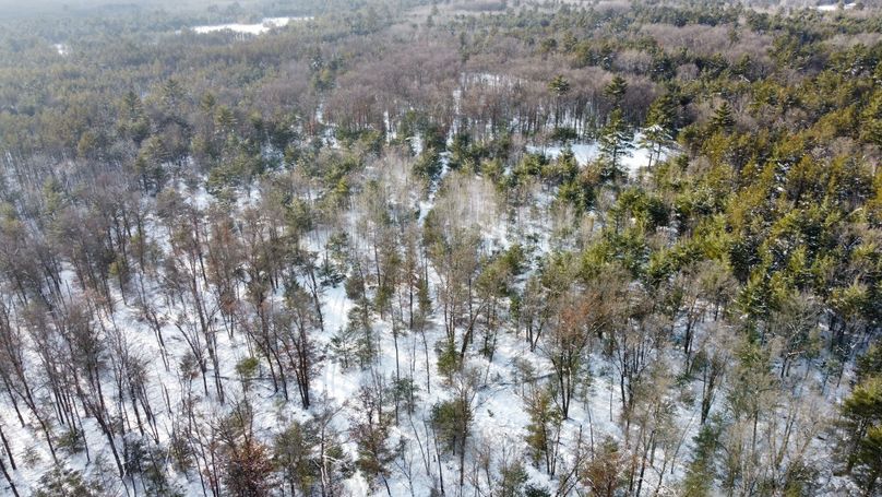 dji_fly_20230124_145116_183_1674594208699_photo_optimized