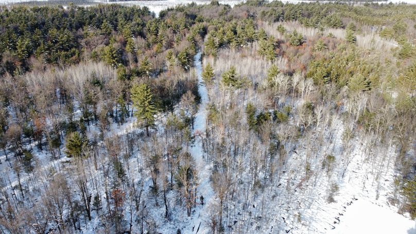 dji_fly_20230124_145126_185_1674594206930_photo_optimized