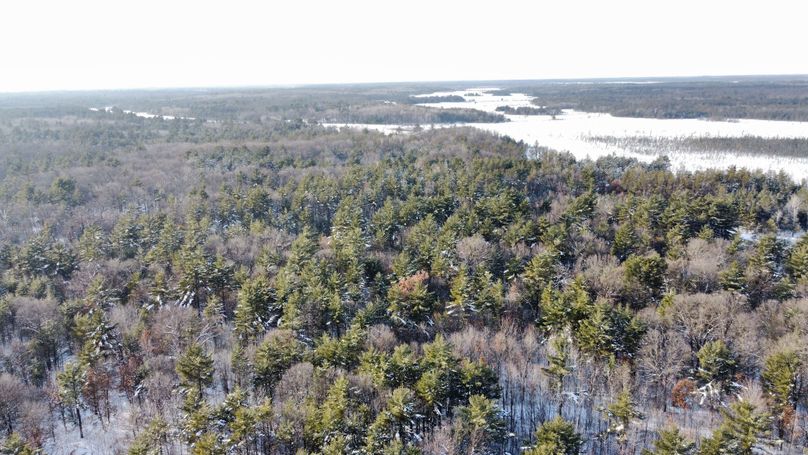 dji_fly_20230124_145420_194_1674594176914_photo_optimized