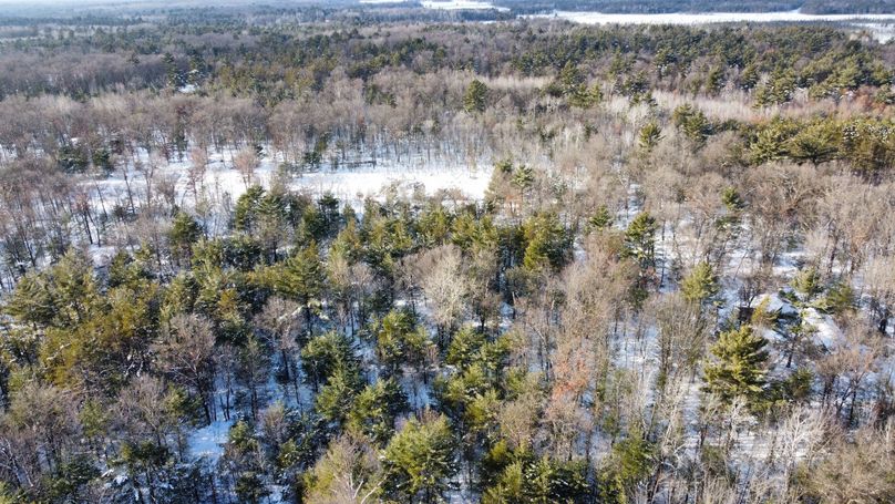 dji_fly_20230124_144950_178_1674594225588_photo_optimized