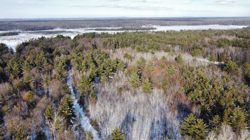 dji_fly_20230124_145302_191_1674594179601_photo_optimized