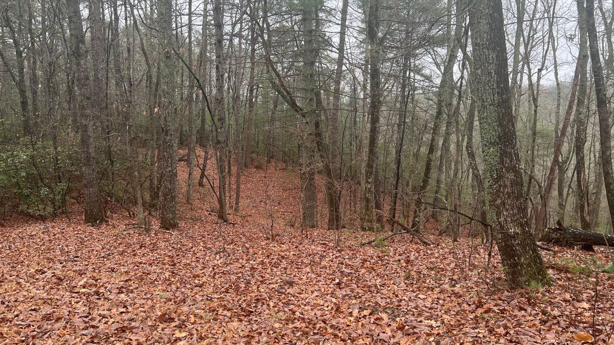 Pine Mountain Lakes Community Lot 15 Whitetail Properties