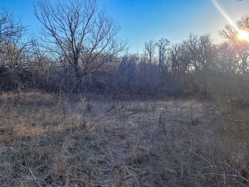 Saline66_025