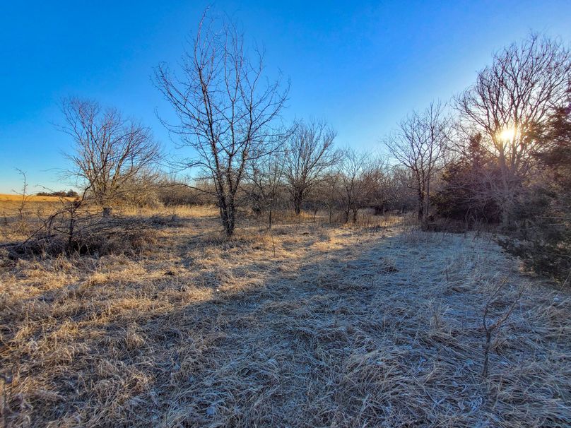 Saline66_027
