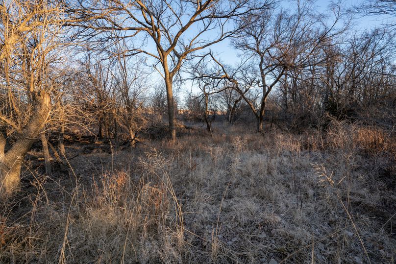 Saline66_016