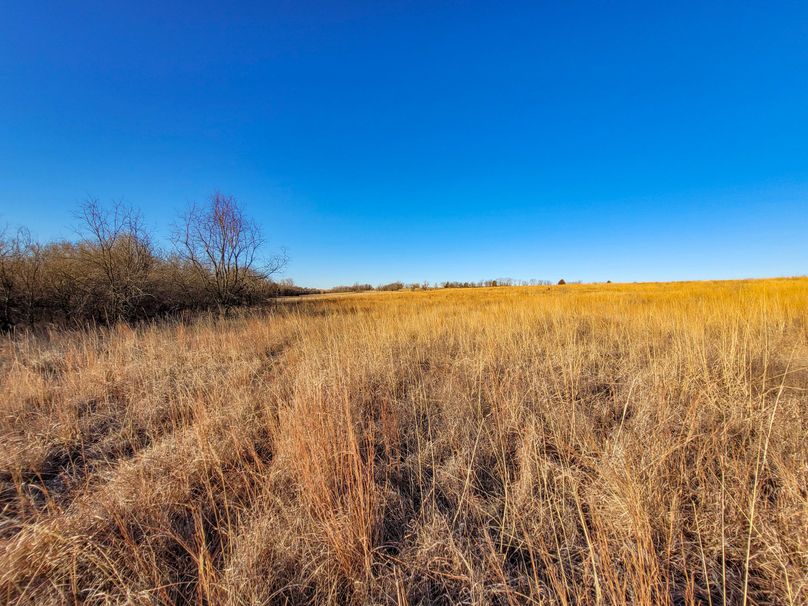Saline66_030