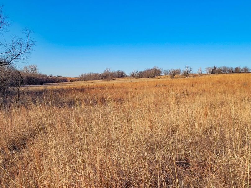 Saline66_022