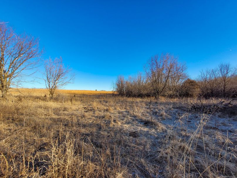 Saline66_020