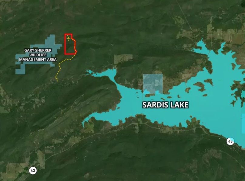 Screenshot 2022-06-03 111018