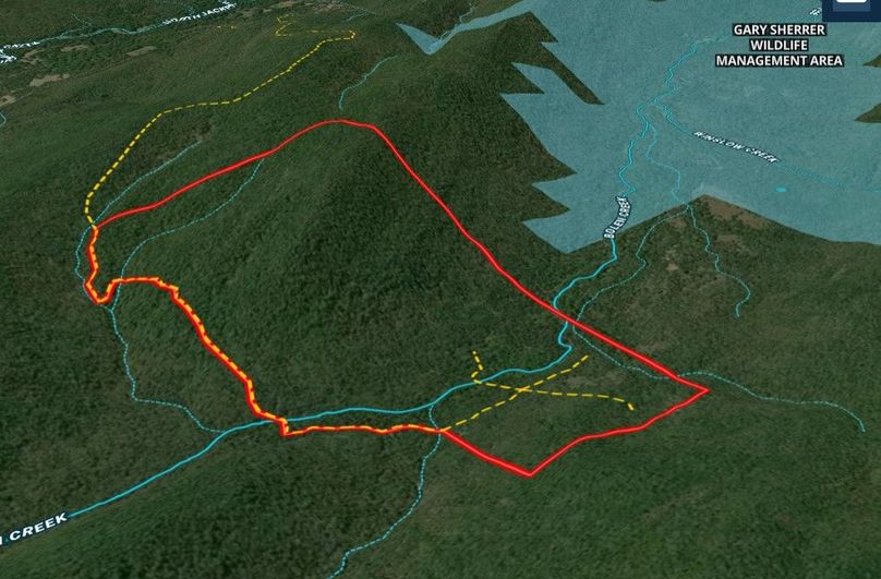 Screenshot 2022-06-03 111158