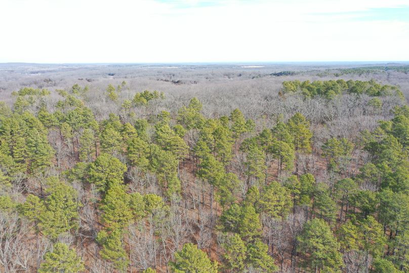 DJI_0596