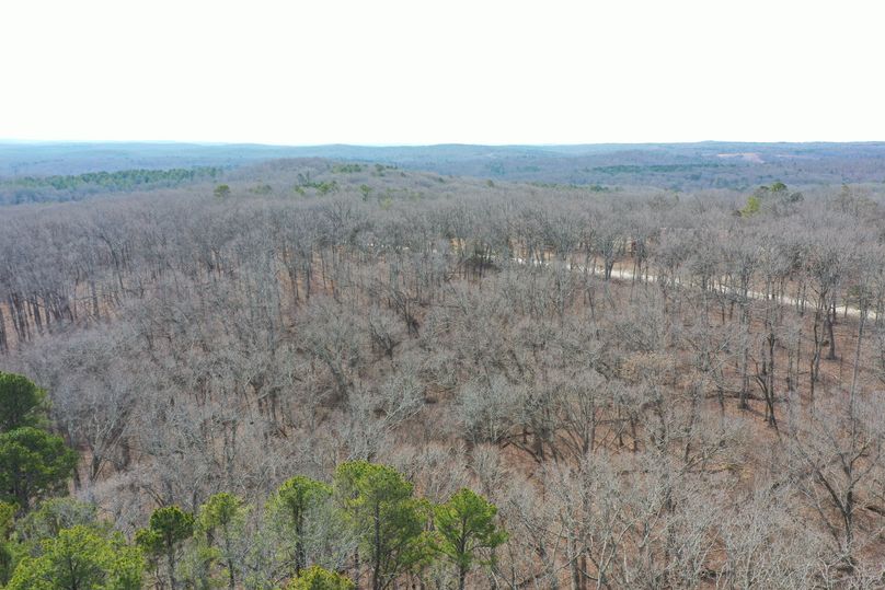 DJI_0602