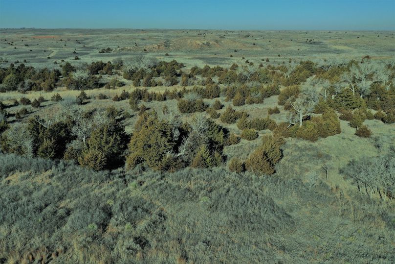 DJI_0016