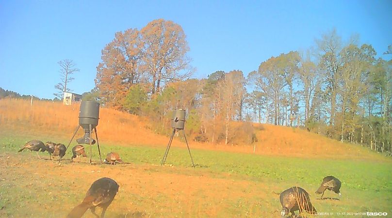 Game Cam 5