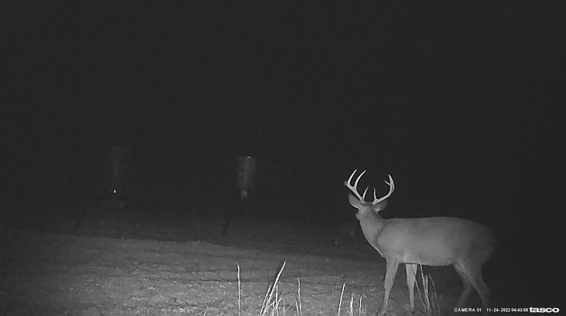 Game Cam 8
