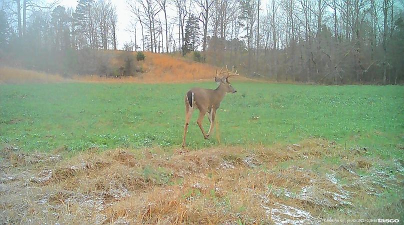 Game Cam 2