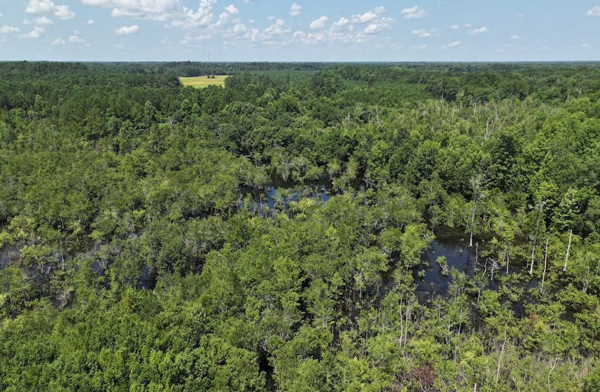 DJI_20250627111137_0134_D