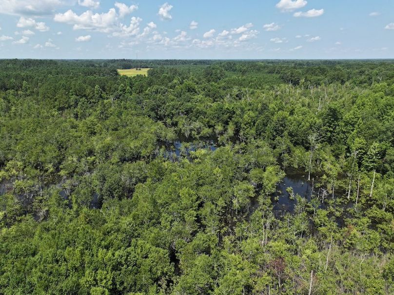 DJI_20250627111137_0134_D