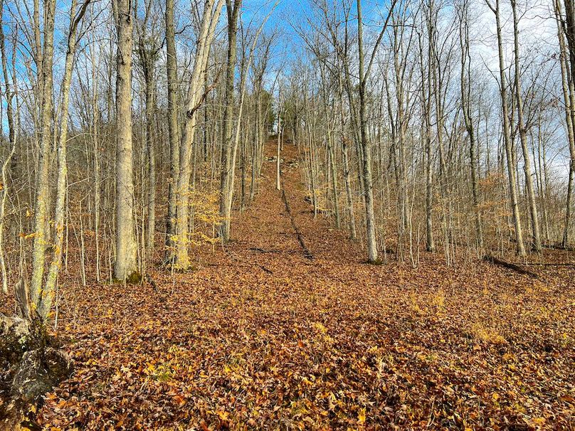 Calhoun, WV 225.69 AC Duffield-78