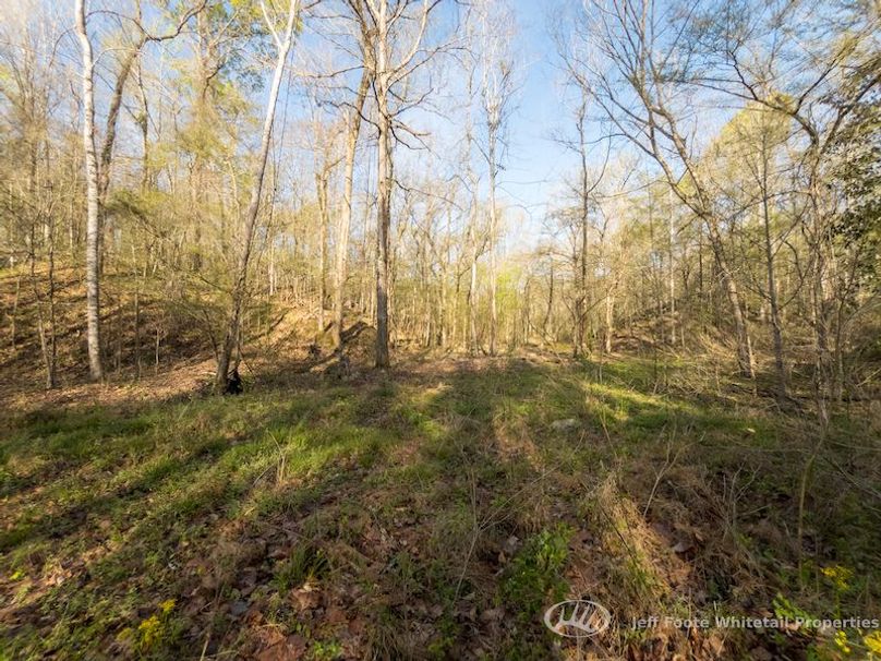 Warren Co - 45.5 - Bockman-73