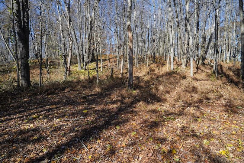 Somerset, 10.91, Tinkey-37