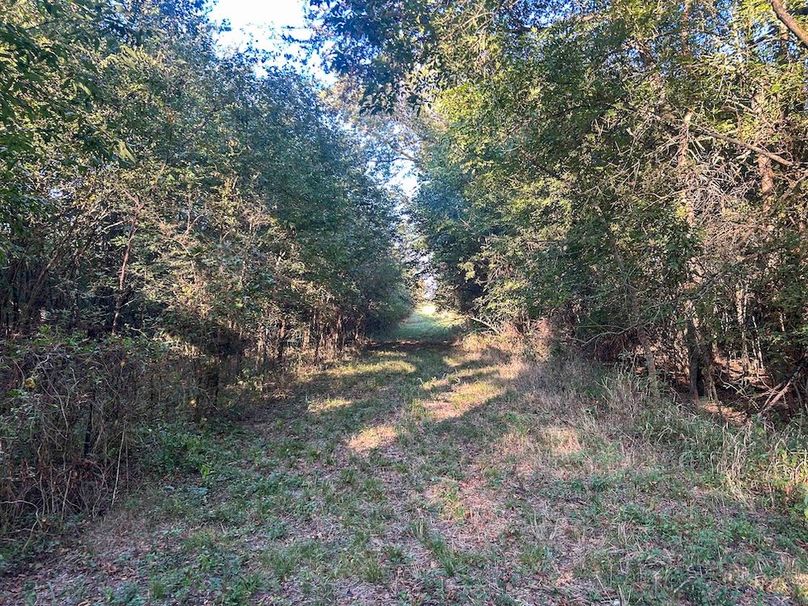 Lamar County- 93 acre reshoot (34 of 38)