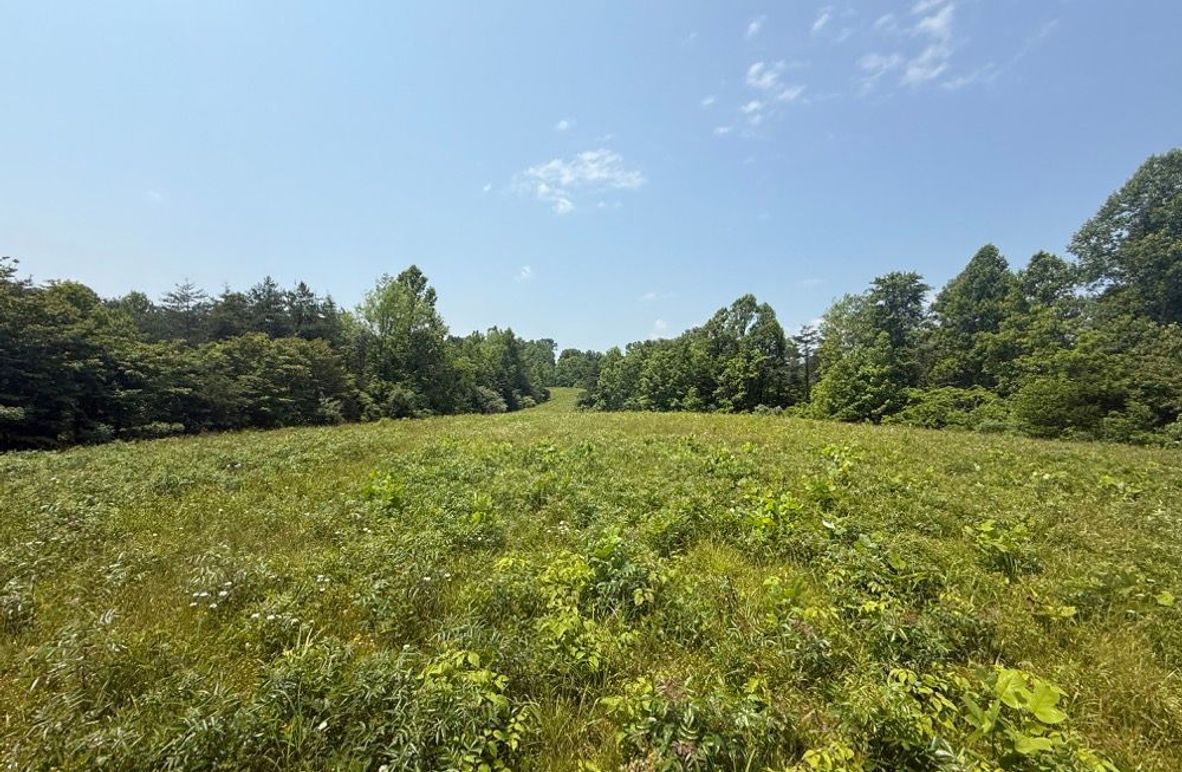 002 beautiful green fields in the upper elevations