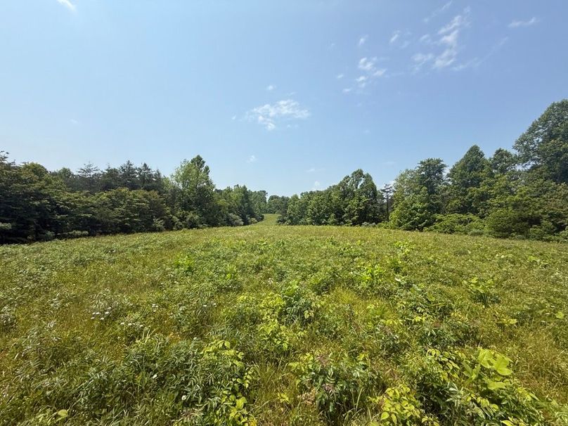 002 beautiful green fields in the upper elevations