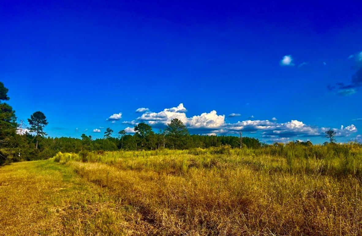 3C1E9FA6-3965-471F-80DE-B21513F971AF_1_201_a