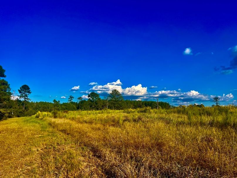 3C1E9FA6-3965-471F-80DE-B21513F971AF_1_201_a