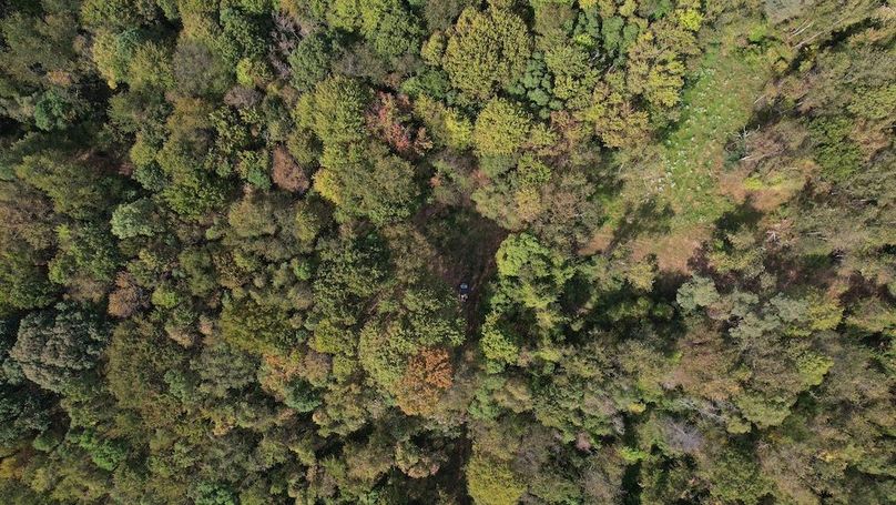 dji_fly_20250916_115050_737_1758038505718_photo