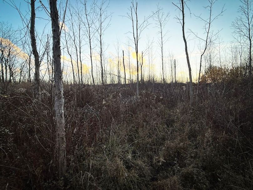 Wayne_29.09_BD_LandNorth_Parcel_10