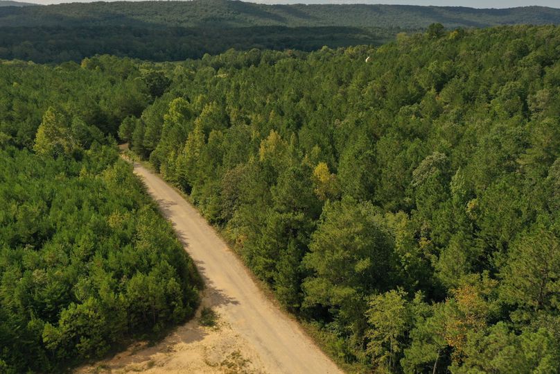 DJI_0583