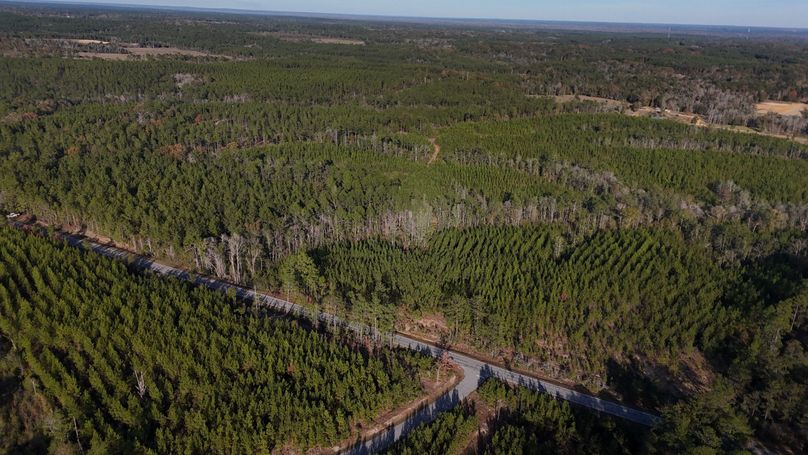 DJI_20231213151406_0012_D