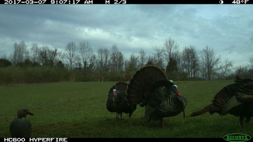 2017-03-07 09-07-17 M 2_3