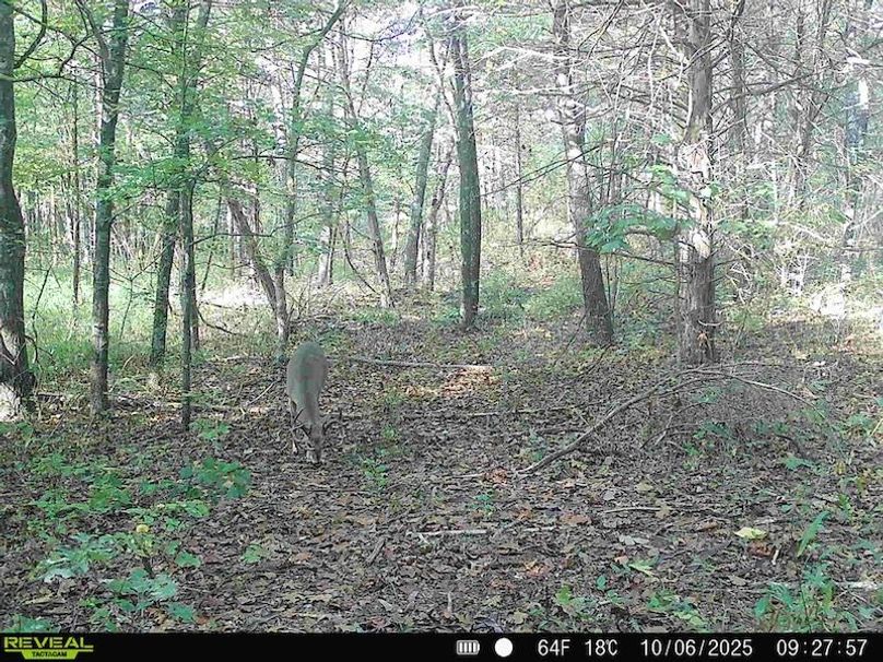 868032068046261-90-2-10062025094402-HD-SYFW0919