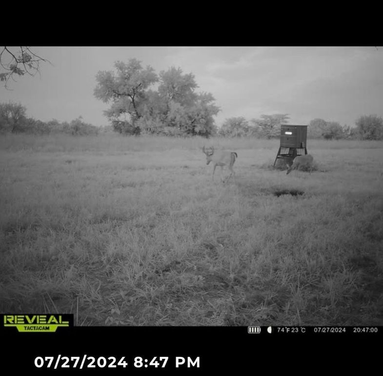 Trail Cam 3