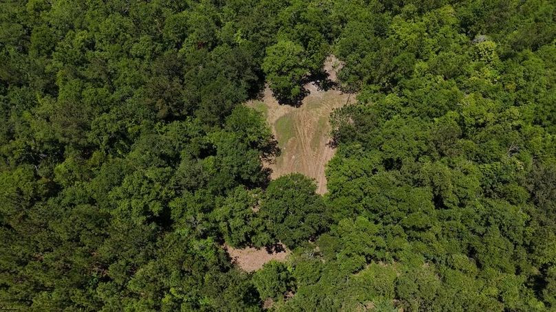 DJI_20240516124451_0022_D