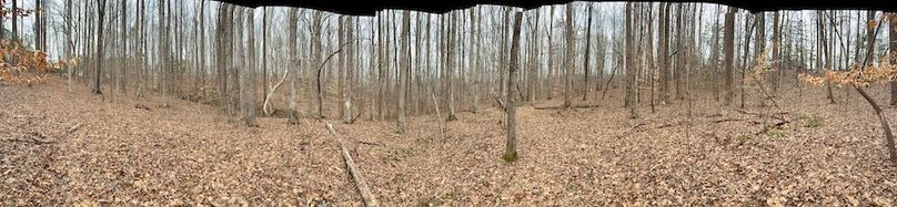 6CD2EC91-4B63-4E67-99A6-8CA8D20742A3_1_201_a