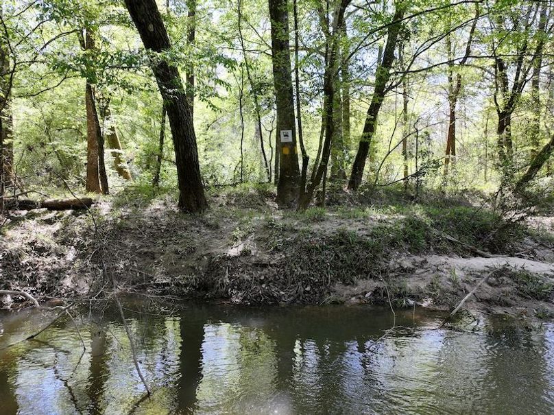 dji_fly_20260317_093328_0405_1773768875622_photo